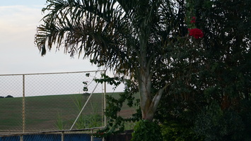 DSC01782